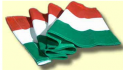zászló magyar 45x30cm
